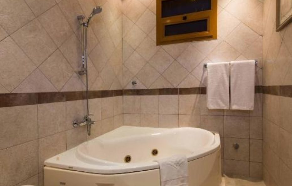 بودل النخيل عنيزة