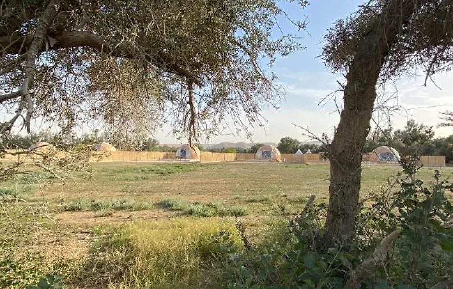 جلامبينغ الرياض