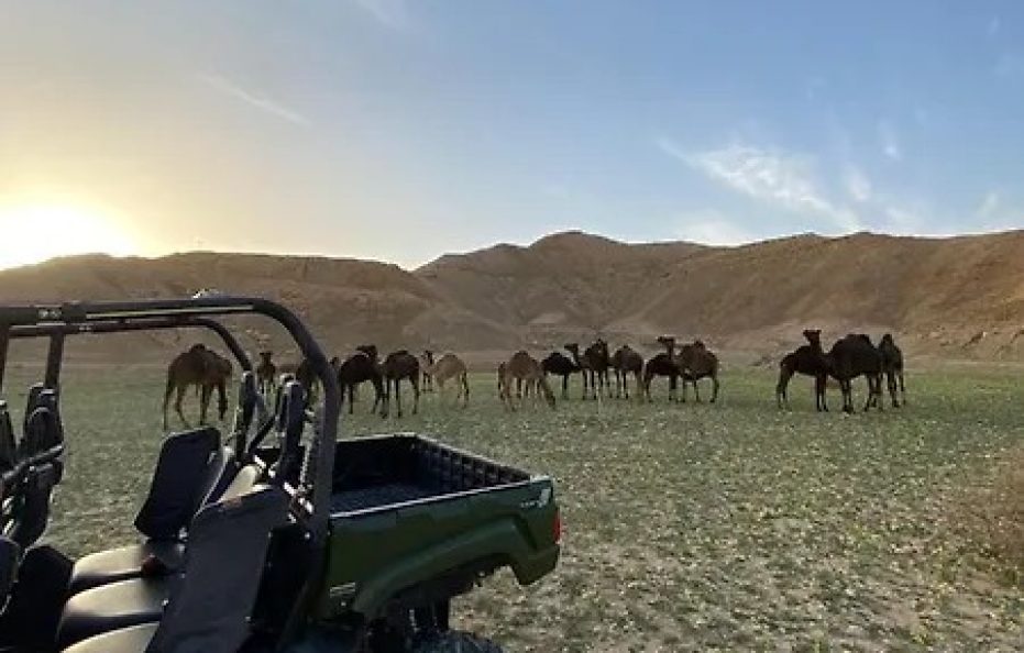 جلامبينغ الرياض