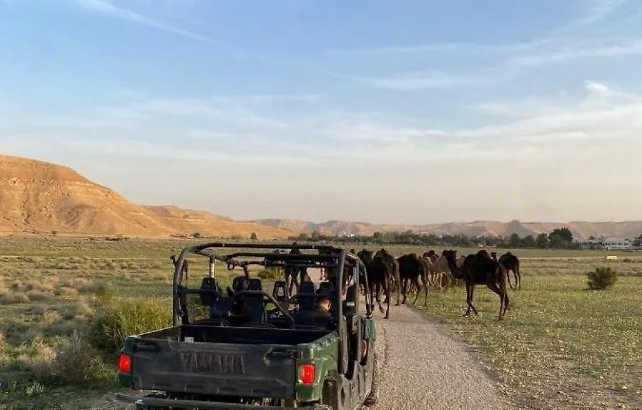 جلامبينغ الرياض