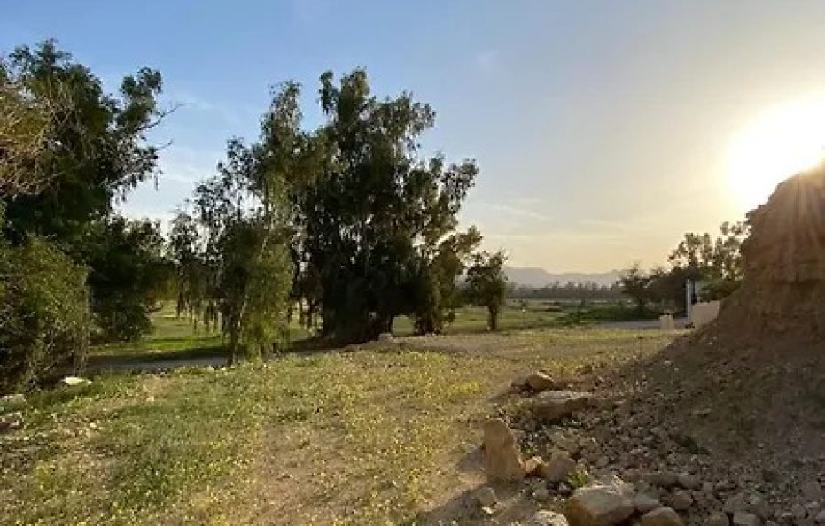 جلامبينغ الرياض