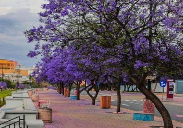 رحلة في الواجهة البحرية لمدينة ينبع: جمال البحر والشواطئ