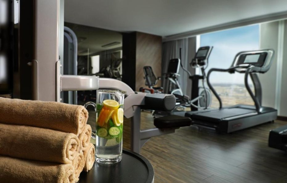 فندق ميلينيوم المطار