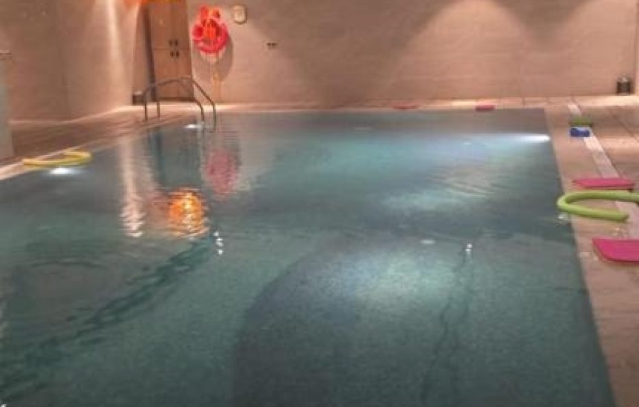 بريرا النخيل