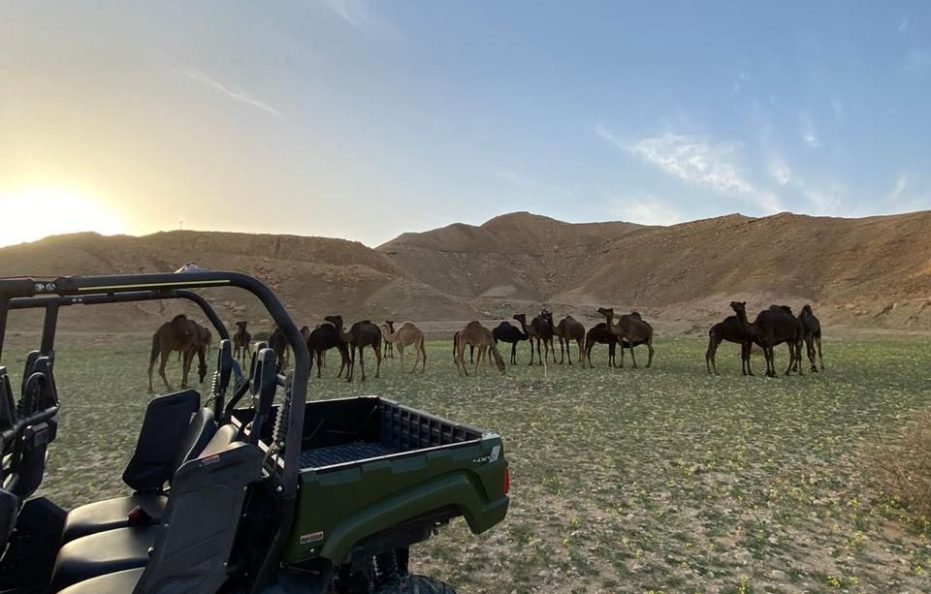 جلامبينغ الرياض