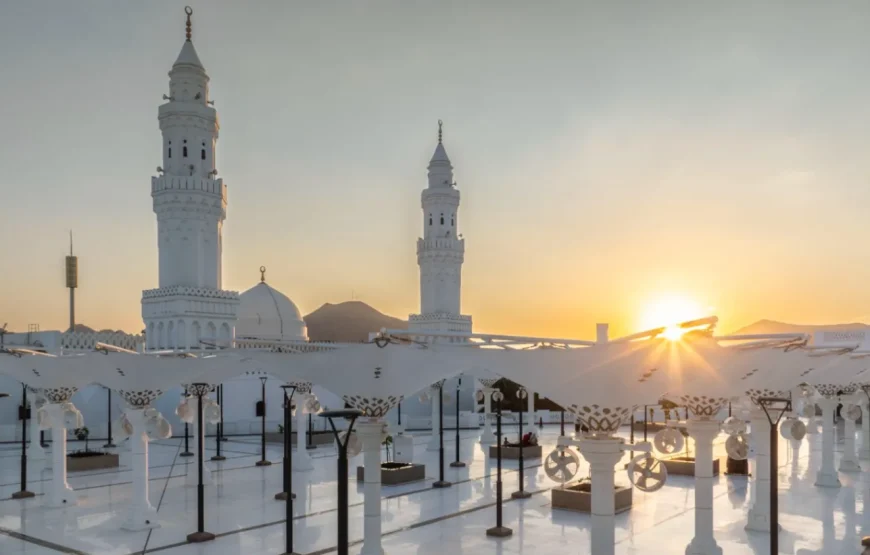 المسار العام