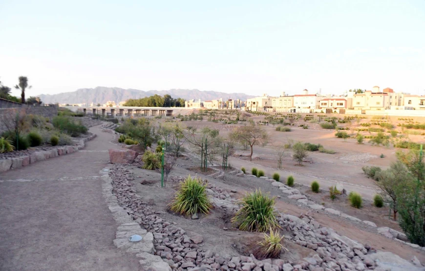 المسار العام