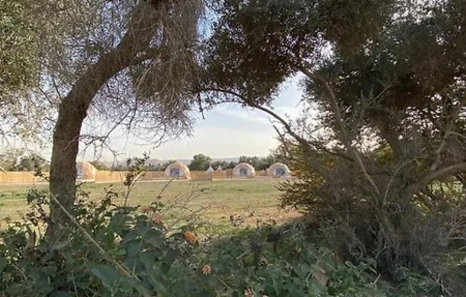 جلامبينغ الرياض