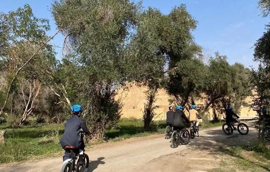 جلامبينغ الرياض