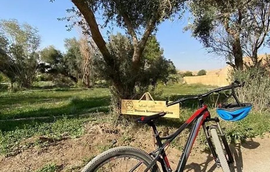 جلامبينغ الرياض