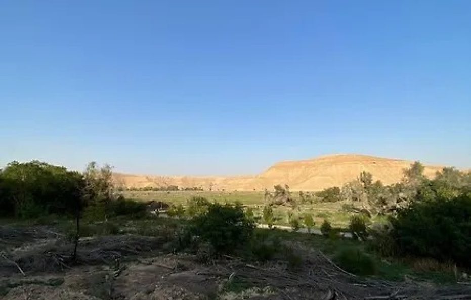 جلامبينغ الرياض