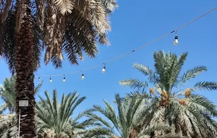 مزارع وآبار المدينة المنورة