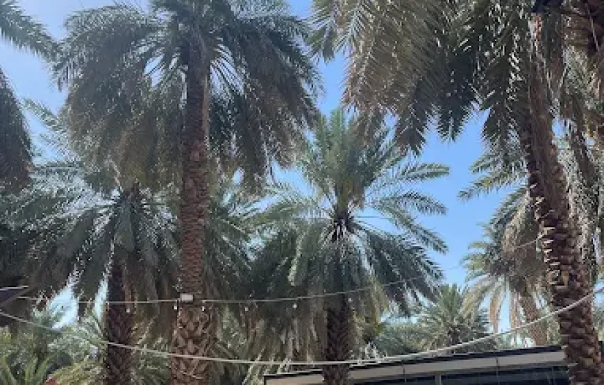 مزارع وآبار المدينة المنورة