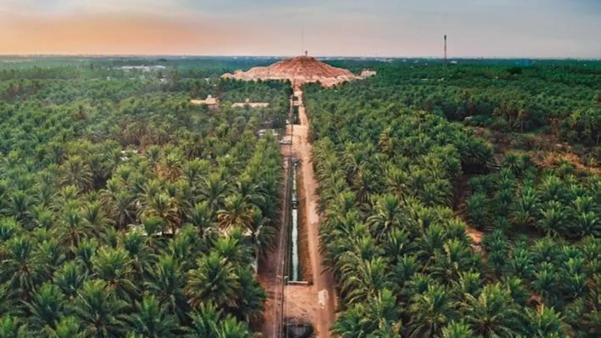 واحة الأحساء